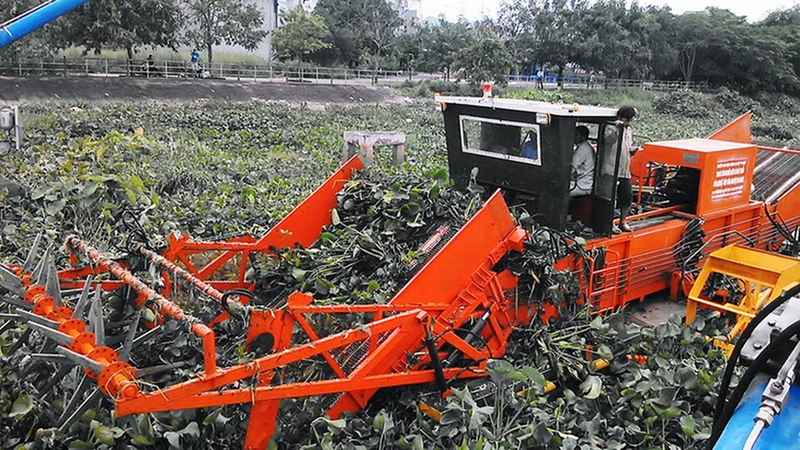 Máy cắt vớt lục bình